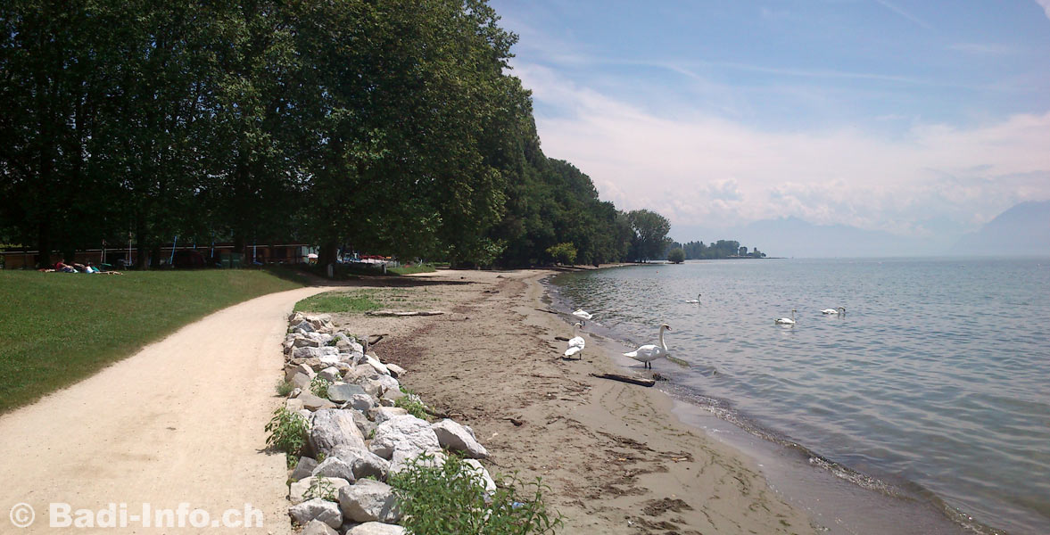 La plage de St-Sulpice - www.badi-info.ch